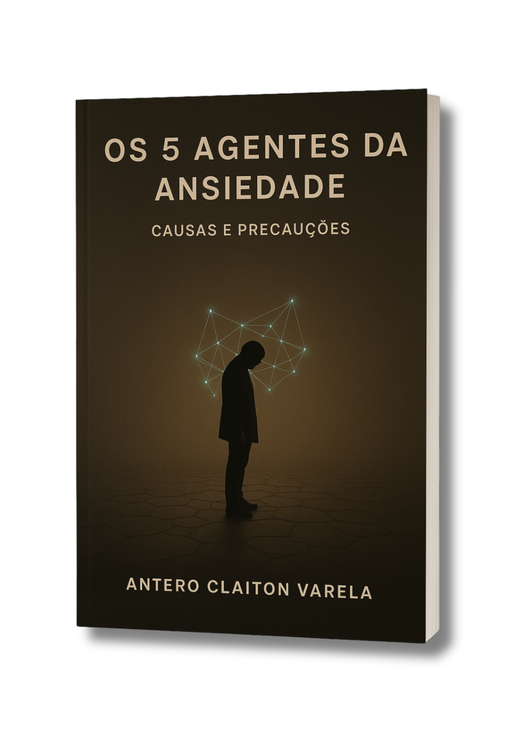 Os 5 Agentes da Ansiedade - Causas e Precauções - Imagem 3